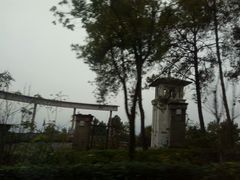 -铁山坪森林公园