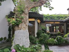 -鲤院·新中式美学·庭院餐厅(夫子庙店)