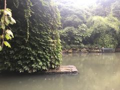 -素清香(解放路店)