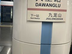 -大望路(地铁站)