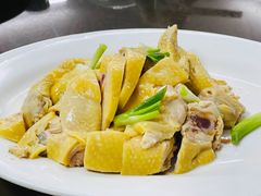 -新陶陶酒家