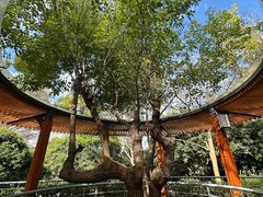 -燕晗山郊野公园