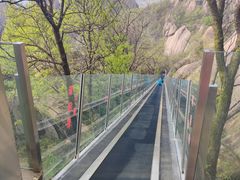 -嵖岈山风景区