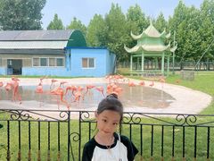 -秦皇岛野生动物园