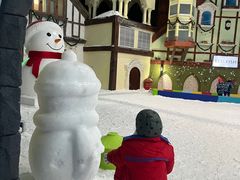 -世界之窗阿尔卑斯冰雪世界