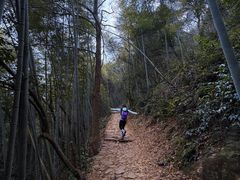 -午潮山国家森林公园