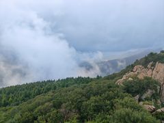 -白草畔自然风景区