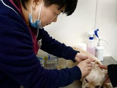 -美联众合动物医院·24h京西诊疗中心
