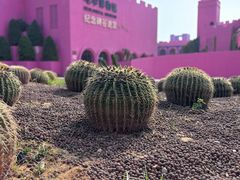 -漳州滨海火山岛自然生态风景区