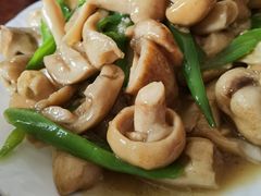 -江川野生菌火锅铜锅鱼(贵清火锅店)