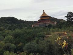 -磬锤峰森林公园