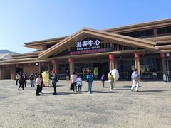 -千年银杏谷文化旅游区
