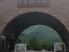 -千岛湖石林