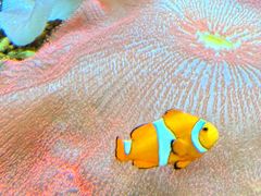 -北海·海洋之窗