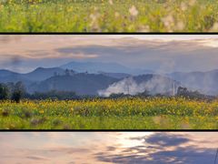 -天龙顶山地公园