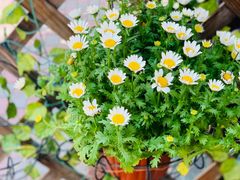 -Rabbit Cafe私房西餐甜点咖啡(栖霞路店)