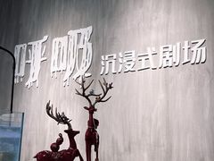 -呼吸沉浸式剧场(甘露园店)