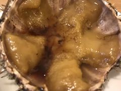 -海胆小馆(东北水饺·春柳店)