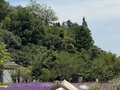-南北湖风景区