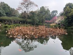 -成都杜甫草堂博物馆