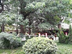 -红军总政治部旧址