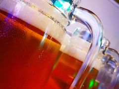 -上海浦东假日酒店
