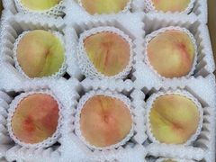 -南汇新场正宗水蜜桃采摘