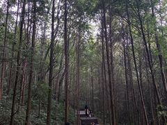 -凤栖山