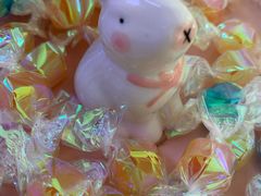 -宠颐生中康贝怡动物医院
