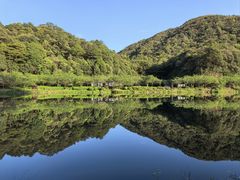 -广州市流溪河国家森林公园