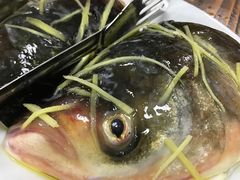 -肥婆麻辣火锅.顺德首创药材麻辣火锅(容桂店)
