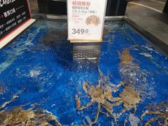 -盒马鲜生(莱蒙都会店)