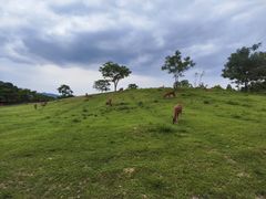 -良渚古城遗址公园