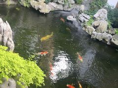 -鲤院·新中式美学·庭院餐厅(夫子庙店)