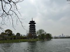 -洋湖国家湿地公园