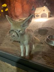 点击看大图 -酷嗒动物文化乐园(cutezoo西溪乐天城店)