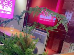 -老板恋上鱼(恒隆广场店)