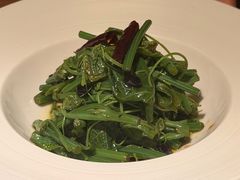 木姜子油拌苗菜-庆春朴门