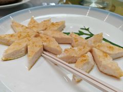 -丁老爷子苏香圆
