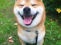 -优衣库(武汉国际广场店)