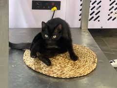 -聚香斋(东关街店)