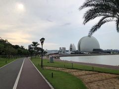 -野狸岛