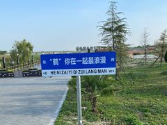 -盐城丹顶鹤湿地生态旅游区