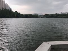 -南湖梦幻岛