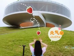 -郑东新区龙湖公共艺术中心