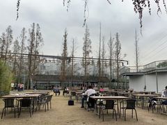 -前小桔亲子创意农场·草莓采摘·露营烧烤