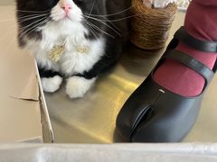 -文华大厦