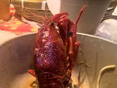-靓靓蒸虾·头牌蒸虾(雪松路总店)
