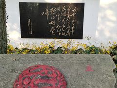 -西湖风景区十里琅珰-五云山