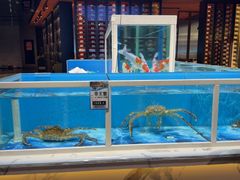 -名人坊·新派粤菜(河西奥体博览中心金鹰世界店)
